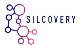12 09 logosite Silcovery